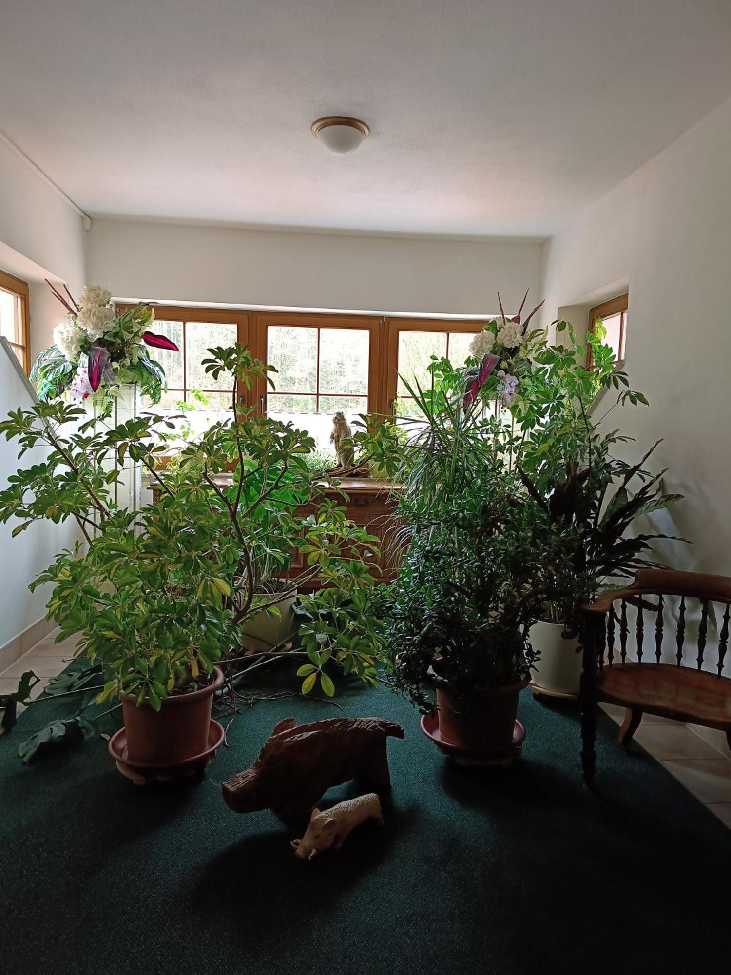 Hotel Kollerhof Zelena Lhota ภายนอก รูปภาพ